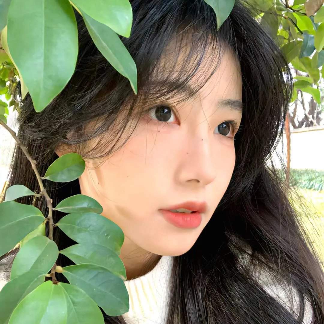 民族自由魂